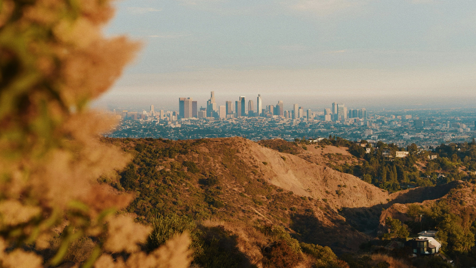 Altadena landscape with the Los Angeles skyline in the distance